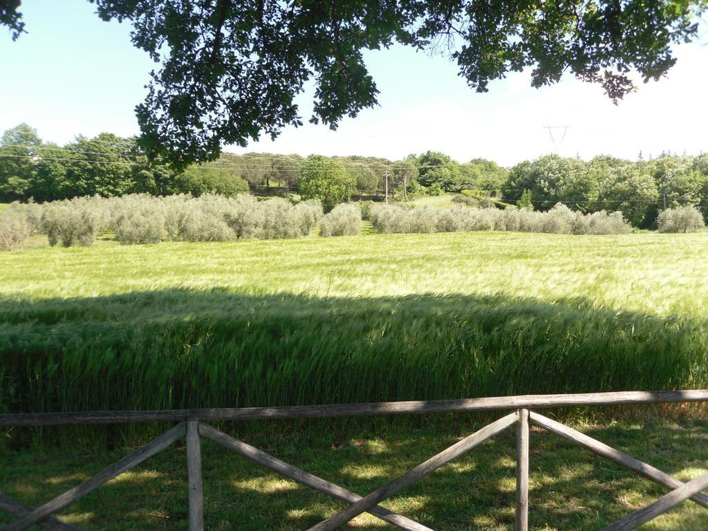 Agriturismo Il Giardino サトゥルニア エクステリア 写真