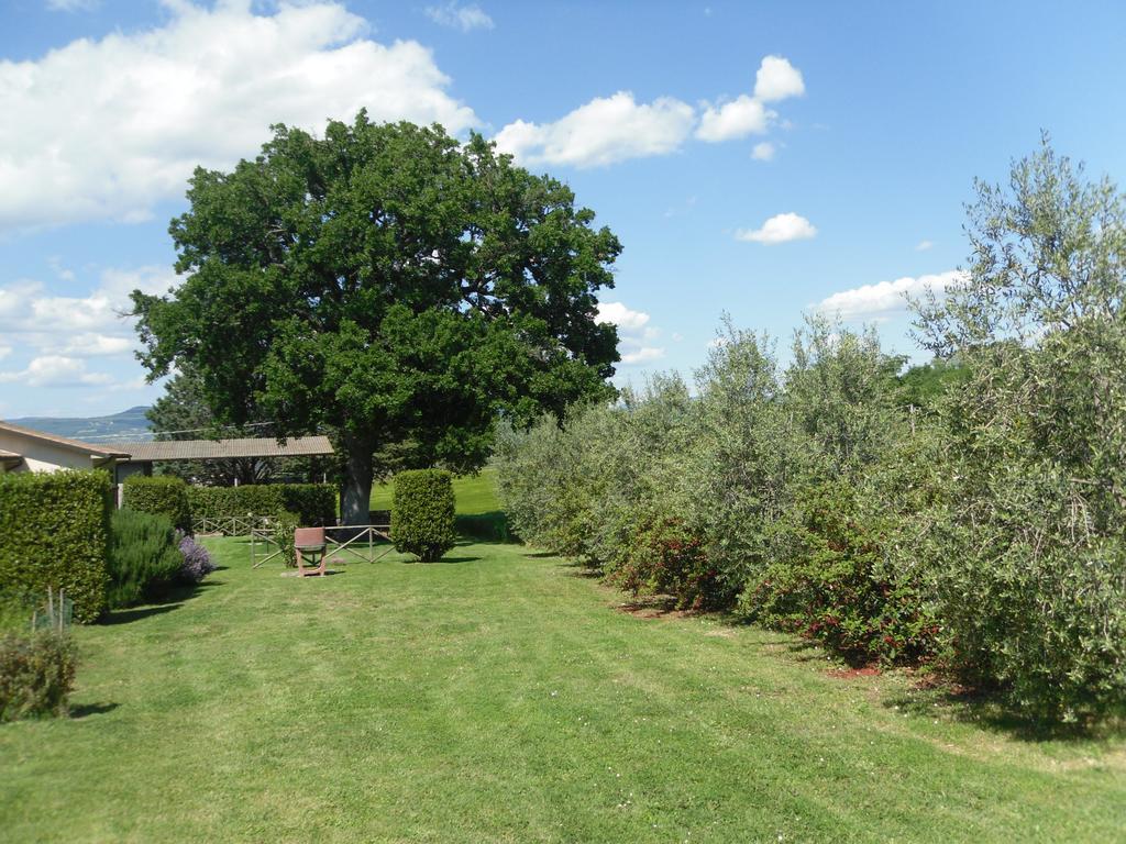 Agriturismo Il Giardino サトゥルニア エクステリア 写真